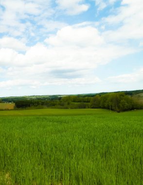 Kashubia bölgesindeki yeşil alanlar, Kuzey Polonya. Bulutlu bir gün, seyahat ve doğa konsepti.