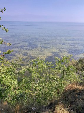 Polonya 'daki Pucka Körfezi' nin temiz su manzarası çok güzel. Pucka Körfezi 'nin doğal koşulları biliniyor. Temiz su ve güzel manzaralar..