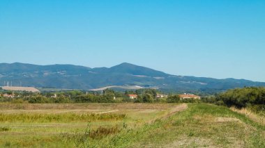 Toskana, arka planda çayır ve Apeninlerin manzarası. İtalya, Toskana 'da yaz.