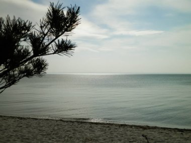 Hel Peninsula 'dan Baltık deniz kıyıları - Hel şehrine yakın plaj. Baltık Denizi ve Gdansk Körfezi 'nin güzel doğası. Seyahat ve doğa kavramı.
