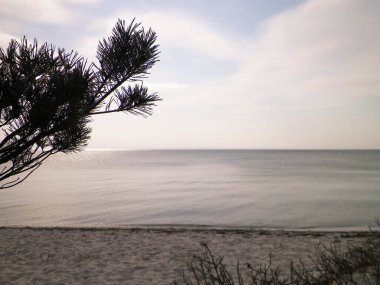 Hel Peninsula 'dan Baltık deniz kıyıları - Hel şehrine yakın plaj. Baltık Denizi ve Gdansk Körfezi 'nin güzel doğası. Seyahat ve doğa kavramı.