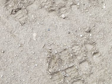Footprint on ground as a background. Copy space.