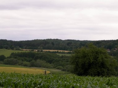Wiezyca 'nın tarlaları ve çayırları. Wiezyca, Kashubia Bölgesi 'nin popüler bir turistik bölgesidir. Polonya