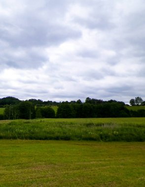 Wiezyca 'nın tarlaları ve çayırları. Wiezyca, Kashubia Bölgesi 'nin popüler bir turistik bölgesidir. Polonya