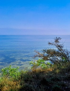 Polonya 'daki Pucka Körfezi' nin temiz su manzarası çok güzel. Pucka Körfezi 'nin doğal koşulları biliniyor. Temiz su ve güzel manzaralar..