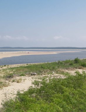 Sobieszewska Adası 'ndaki Baltık Denizi Kıyısı. Vistula Nehri 'nin kıyısında. Kuzey Polonya 'nın doğası.