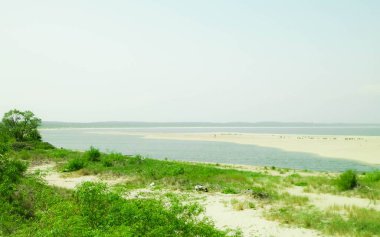 Sobieszewska Adası 'ndaki Baltık Denizi Kıyısı. Vistula Nehri 'nin kıyısında. Kuzey Polonya 'nın doğası.
