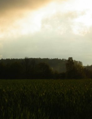 Fırtınalı coudlar, çayırların üzerinde gün batımı gökyüzü. Kashubia, Pomeranya Polonya.