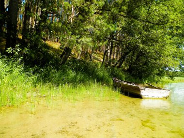 Boat on Wdzydzkie lake coast. Old abandoned boat on Wdzydze Lake coast. Wdzydze Landscape Park, Kashubia region, northern Poland. clipart