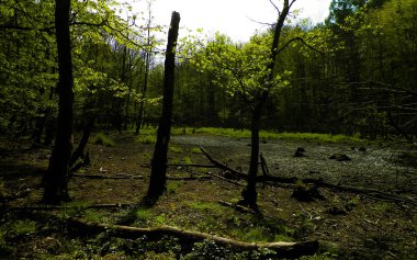 Kuraklık dünyanın birçok yerinde önemli bir sorundur. Küresel ısınma Avrupa 'da birçok göl, nehir ve göletin yok olmasına neden oluyor..