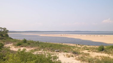 Sobieszewska Adası 'ndaki Baltık Denizi Kıyısı. Vistula Nehri 'nin kıyısında. Kuzey Polonya 'nın doğası.