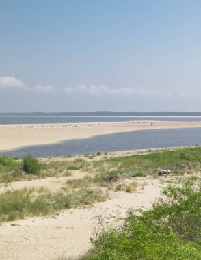 Sobieszewska Adası 'ndaki Baltık Denizi Kıyısı. Vistula Nehri 'nin kıyısında. Kuzey Polonya 'nın doğası.