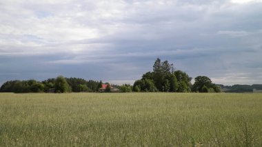 Kuzey Polonya 'nın kırsal kesimi doğa kavramında Kashubia güzelliği.