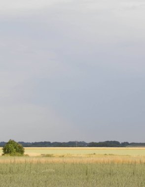 Kuzey Polonya 'nın kırsal kesimi doğa kavramında Kashubia güzelliği.