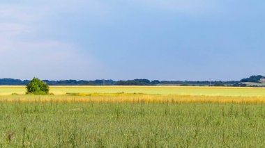Kuzey Polonya 'nın kırsal kesimi doğa kavramında Kashubia güzelliği.