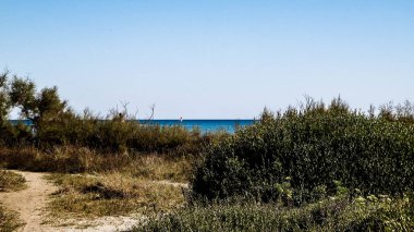 Akdeniz, doğa, Vada şehrine yakın. Mavi gökyüzü arka planında Tyrhenian deniz kıyısı. Tatiller ve doğa konsepti. Boşluğu mavi gökyüzünde kopyala.