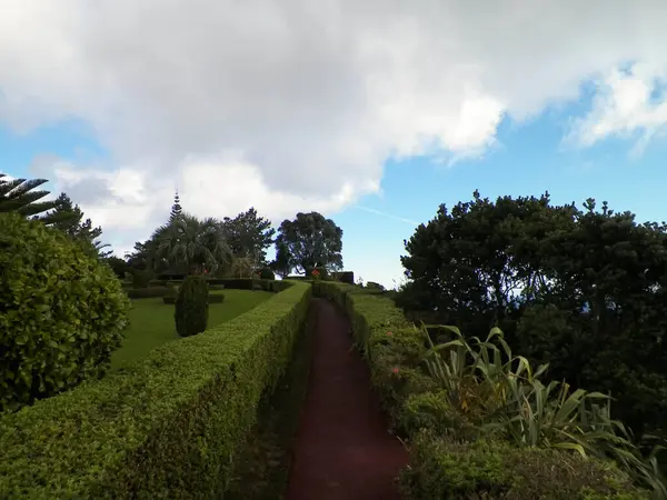 Park yolu, Azores adaları. Seyahat ve doğa kavramı.