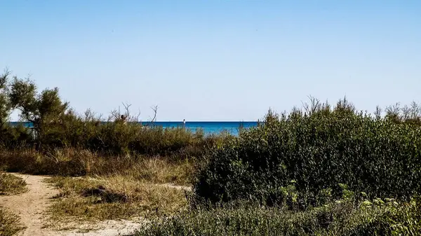 stock image Mediterranean, nature, close to city of Vada. Tyrrhenian sea coast on blue sky background. Vacations and nature concept. Copy space on blue sky.