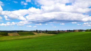 Green fields in Kashubia region - Northern Poland. Cloudy day, travel and nature concept. clipart