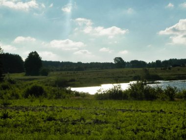 Arka planda çayır ve gölet manzarası. Yaz mevsimi, cilalı doğa, Kashubian 'dan fotoğraf, Pomeranya Voyvodalığı.