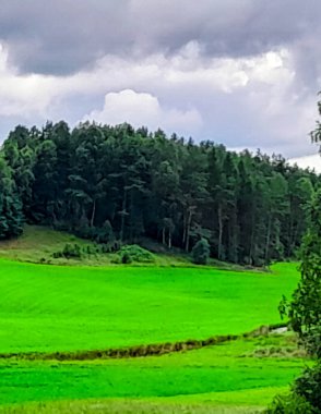 Storm is coming. Cloudy sky over Kashubian meadows. Pure nature, beautiful landscape of northern Poland. Kashyubia Region in Pomerania. clipart