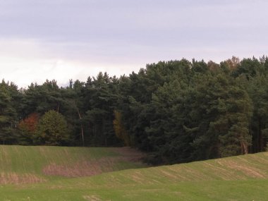 Green field and hills. Nature of northern Poland. Travel and nature concept. clipart