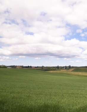 Kashubia bölgesindeki yeşil alanlar, Kuzey Polonya. Bulutlu bir gün, seyahat ve doğa konsepti.