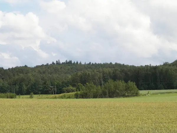 stock image Beautiful view of hills and meadows of Wiezyca Region, Pomerania, Kashubia, Poland.