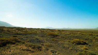 Çöl manzarası, Lanzarotte, Kanarya Adaları. Çöl, Lanzarote adasındaki tipik bir manzaradır. Seyahat ve doğa kavramı.