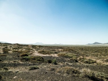 Çöl manzarası, Lanzarotte, Kanarya Adaları. Çöl, Lanzarote adasındaki tipik bir manzaradır. Seyahat ve doğa kavramı.