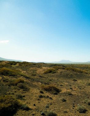 Çöl manzarası, Lanzarotte, Kanarya Adaları. Çöl, Lanzarote adasındaki tipik bir manzaradır. Seyahat ve doğa kavramı.