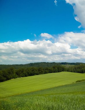 Wiezyca Kashubia bölgesinin tepeleri ve tarlaları, Polonya. Seyahat ve doğa kavramı.