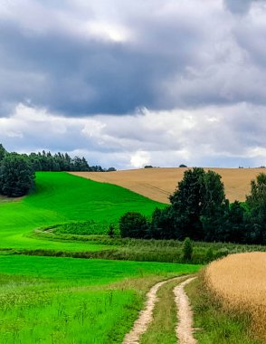 Fırtına geliyormuş. Kashubian çayırlarının üzerinde bulutlu bir gökyüzü. Saf doğa, Kuzey Polonya 'nın güzel manzarası. Pomeranya 'daki Kashyubia Bölgesi.