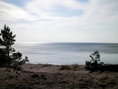 Hel Peninsula 'dan Baltık deniz kıyıları - Hel şehrine yakın plaj. Baltık Denizi ve Gdansk Körfezi 'nin güzel doğası. Seyahat ve doğa kavramı.