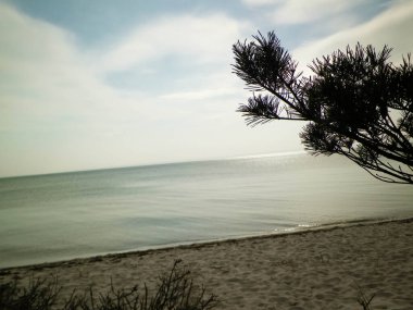 Hel Peninsula 'dan Baltık deniz kıyıları - Hel şehrine yakın plaj. Baltık Denizi ve Gdansk Körfezi 'nin güzel doğası. Seyahat ve doğa kavramı.