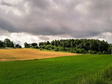 Fırtına geliyormuş. Kashubian çayırlarının üzerinde bulutlu bir gökyüzü. Saf doğa, Kuzey Polonya 'nın güzel manzarası. Pomeranya 'daki Kashyubia Bölgesi.