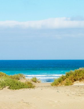 Caleta de Famara 'daki Plaj ve Atlantik Okyanusu, Lanzarote Kanarya Adaları. Caleta de Famara 'daki plaj sörfçüler arasında çok popülerdir. Boşluğu kopyala.