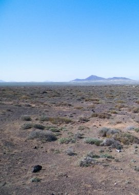 Çöl manzarası, Lanzarotte, Kanarya Adaları. Çöl, Lanzarote adasındaki tipik bir manzaradır. Seyahat ve doğa kavramı.