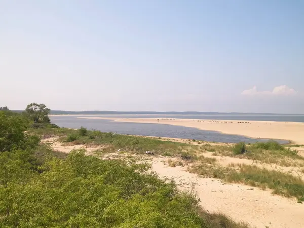 stock image Baltic Sea Coast on Sobieszewska Island. The estuary of the Vistula River. Nature of northern Poland.