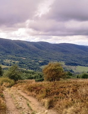 Bieszczady Dağları, Karpatian Dağları 'nın kuzey kesiminde yer alır. Doğanın güzelliği.