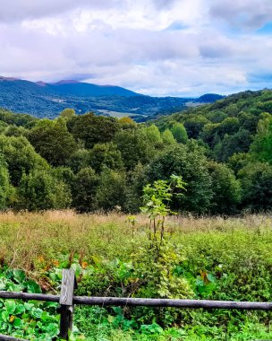 Bieszczady Dağları, Karpatian Dağları 'nın kuzey kesiminde yer alır. Doğanın güzelliği.