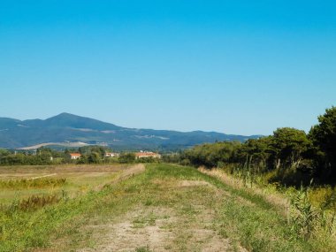 Toskana, arka planda çayır ve Apeninlerin manzarası. İtalya, Toskana 'da yaz.