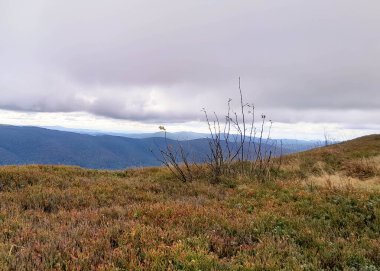 Bieszczady Dağları, Karpatian Dağları 'nın kuzey kesiminde yer alır. Doğanın güzelliği.