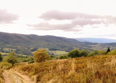 Landscape of Bieszczady Mountains which is northern part of Carpatian Mountains. Beauty of nature. clipart