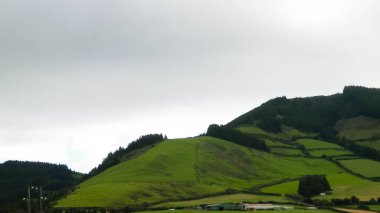 Azores adaları Sao Miguel 'in vahşi doğası. Dağlar, otlaklar, çayırlar ve tropikal ormanlar. Azores Portekiz 'in otonom bölgesi olan küçük bir takımadalardır..