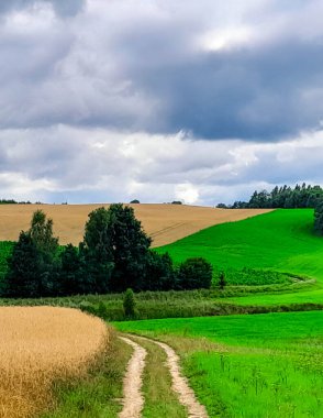 Fırtına geliyormuş. Kashubian çayırlarının üzerinde bulutlu bir gökyüzü. Saf doğa, Kuzey Polonya 'nın güzel manzarası. Pomeranya 'daki Kashyubia Bölgesi.