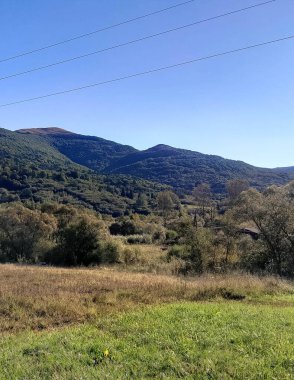 Polonya 'nın Bieszczady Dağları' ndaki yeşil çayır. Kuzey Karpatça.