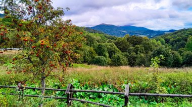Bieszczady Dağları, Karpatian Dağları 'nın kuzey kesiminde yer alır. Doğanın güzelliği.