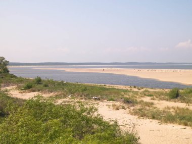 Sobieszewska Adası 'ndaki Baltık Denizi Kıyısı. Vistula Nehri 'nin kıyısında. Kuzey Polonya 'nın doğası.