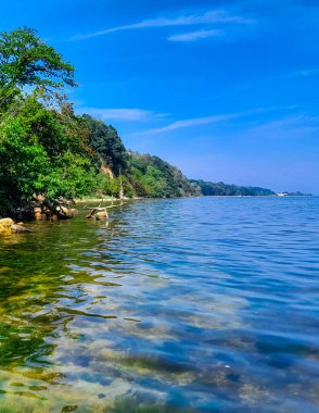 Oslonino yakınlarındaki Pucka Körfezi 'nin kıyı bölgesi. Polonya saf doğa.